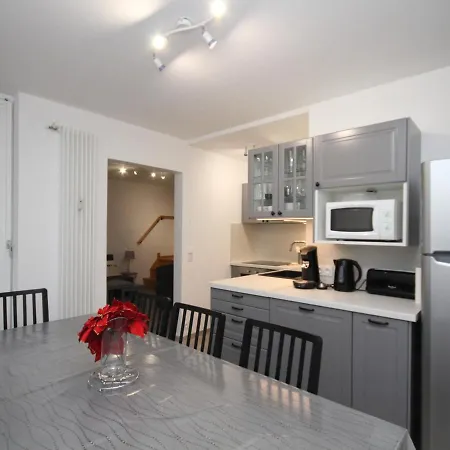 Daire Mont-dore : Duplex 4p Avec Balcon, Garage Et Wi-fi - Fr-1-608-3 *