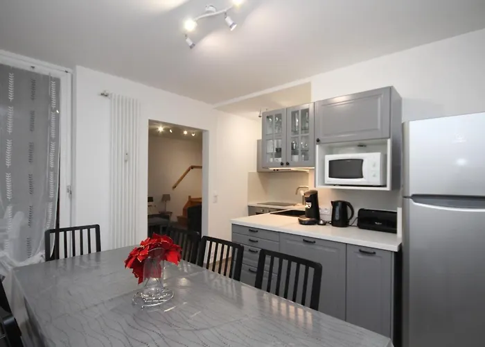 아파트 Mont-dore : Duplex 4p Avec Balcon, Garage Et Wi-fi - Fr-1-608-3 *