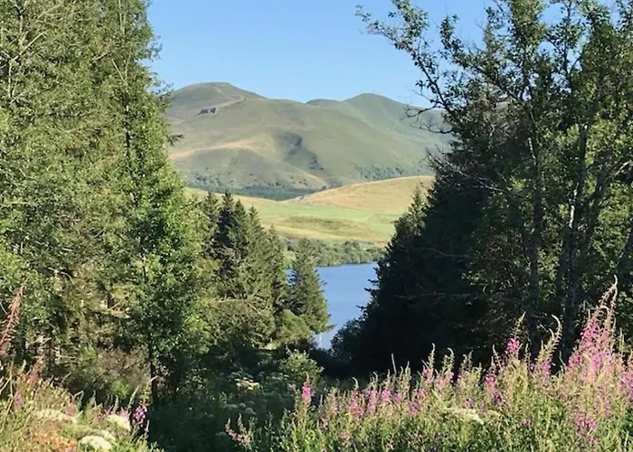 Mont-dore : Duplex 4p Avec Balcon, Garage Et Wi-fi - Fr-1-608-3 شقة